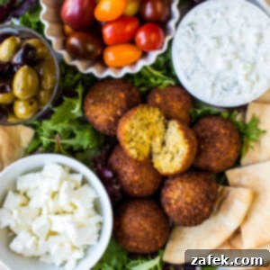 Falafel Platter with Tzatziki Sauce