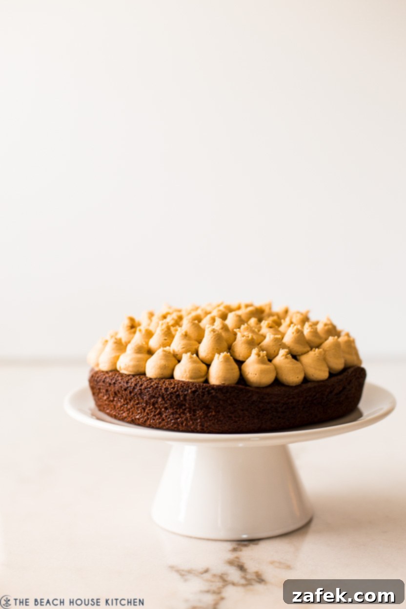 Up close photo of a single chocolate layer cake with piped peanut butter frosting