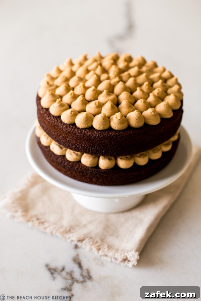 Up close photo of a chocolate layer cake with peanut butter frosting