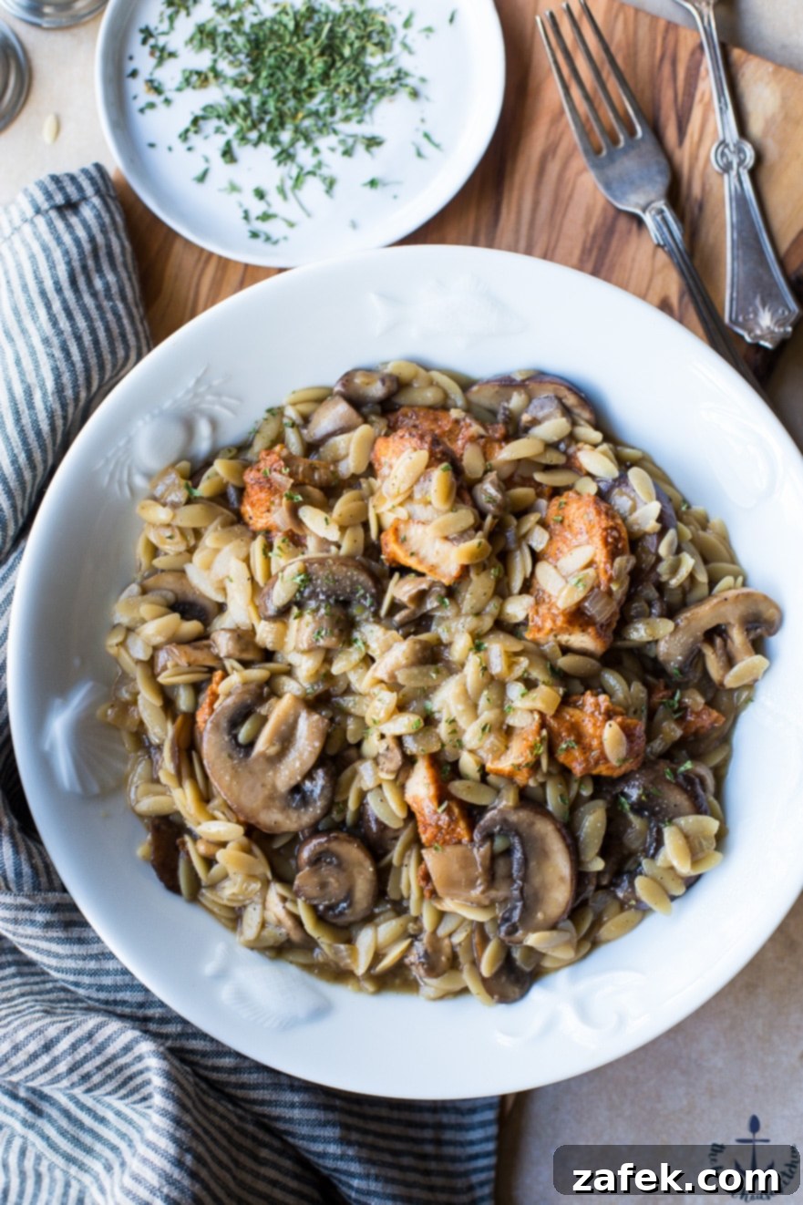 Chicken with Orzo Marsala Close-up of Chicken with Orzo Marsala in a rustic bowl, showcasing tender chicken pieces and creamy orzo.