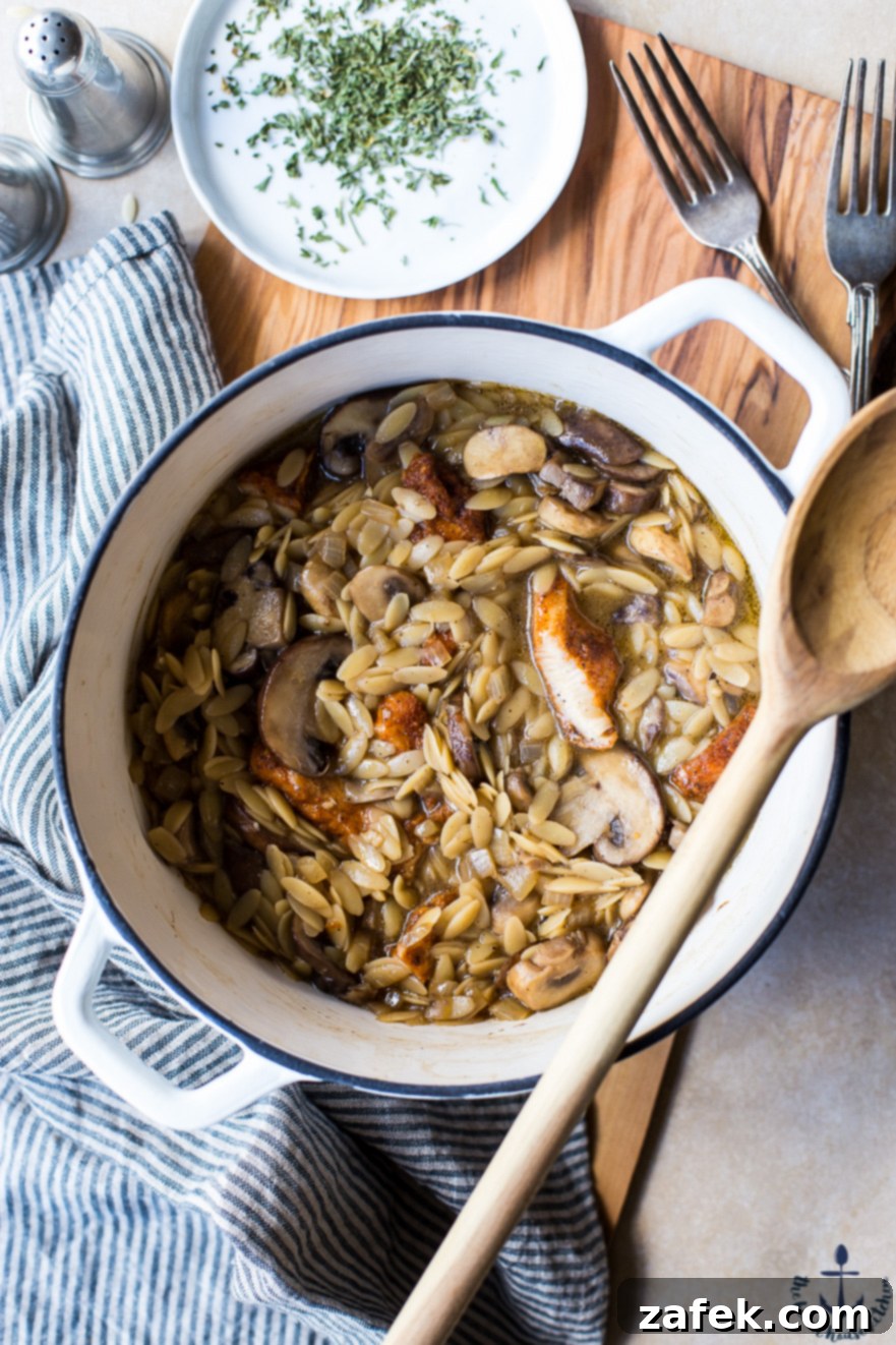 Chicken with Orzo Marsala Overhead shot of Chicken with Orzo Marsala, highlighting the creamy sauce and perfectly cooked orzo.