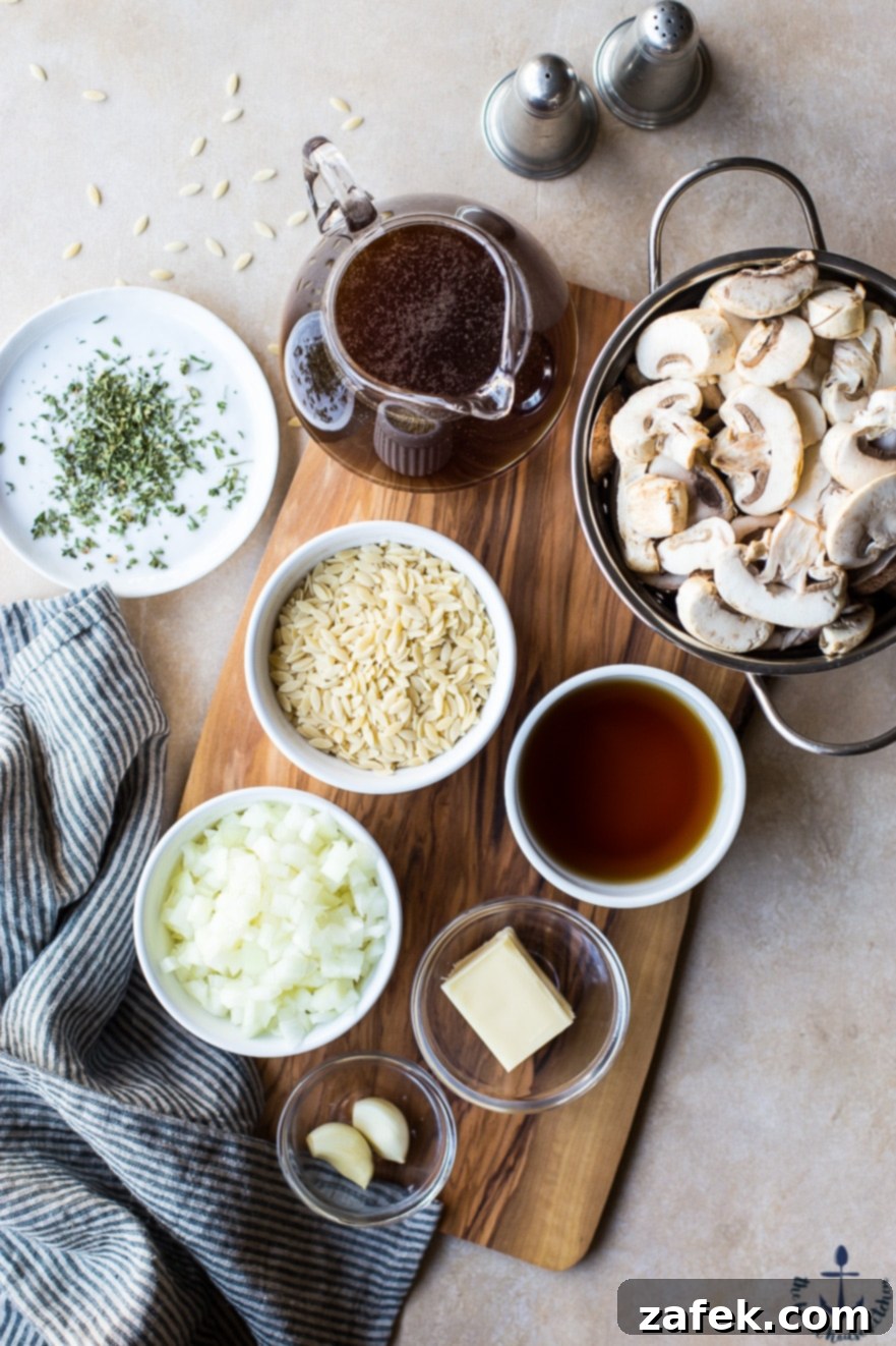Chicken with Orzo Marsala Serving of Chicken with Orzo Marsala garnished with fresh herbs, ready to be enjoyed.