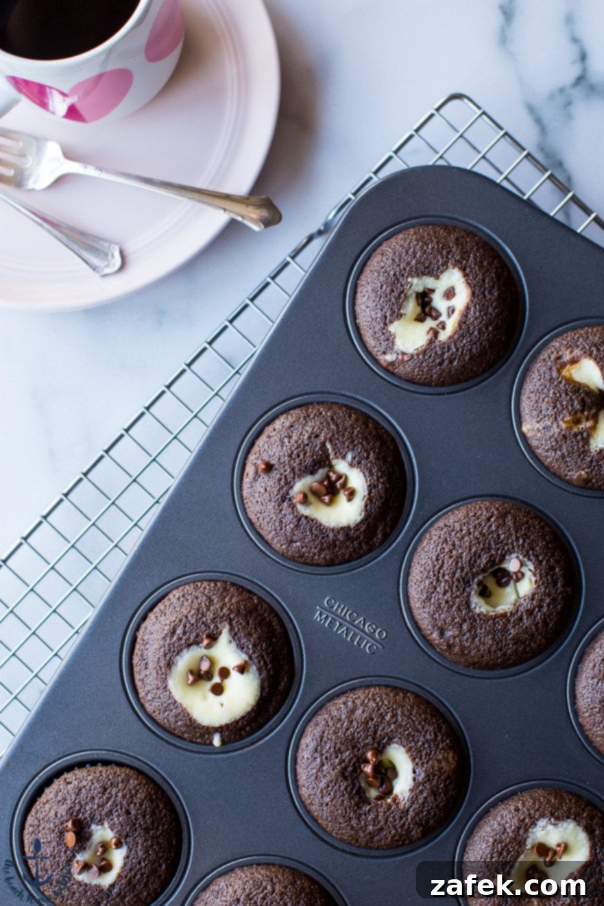 Delicious Black Bottom Cupcakes for Valentine's Day Two Black Bottom Cupcakes arranged on a plate, ready to be enjoyed.