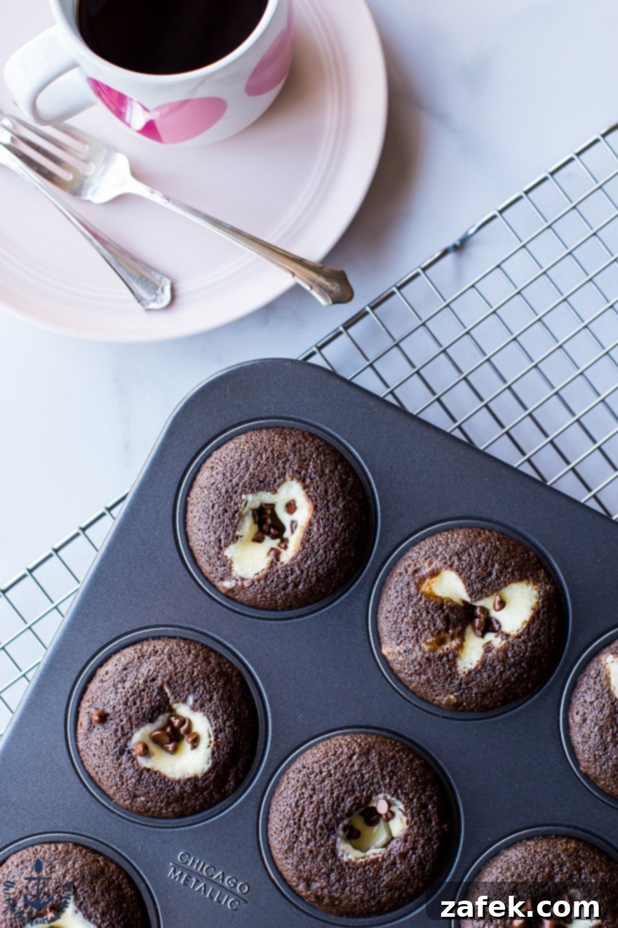 Freshly Baked Black Bottom Cupcakes A tray of freshly baked Black Bottom Cupcakes, still warm from the oven.