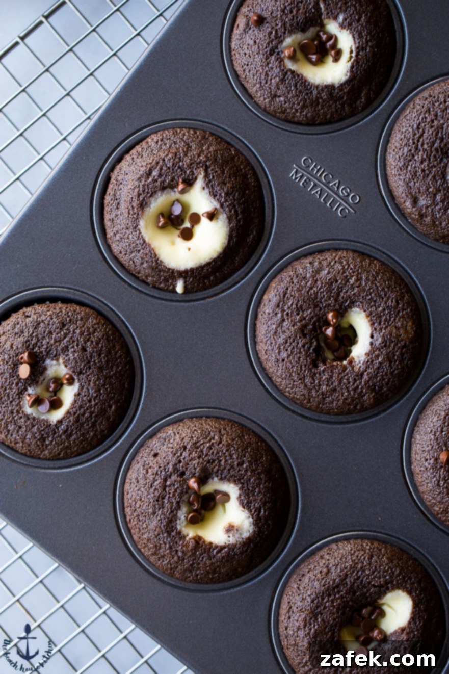 Unwrapping a Black Bottom Cupcake A close-up of a Black Bottom Cupcake being unwrapped from its paper liner, ready to be eaten.