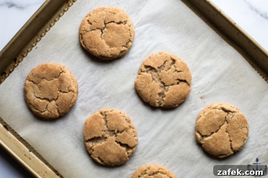 Warm Chai Spiced Snickerdoodle Cookies 6 An aerial shot of a baking sheet filled with perfectly golden-brown Chai Snickerdoodle Cookies, exhibiting their beautiful round shape and sugar-coated finish.
