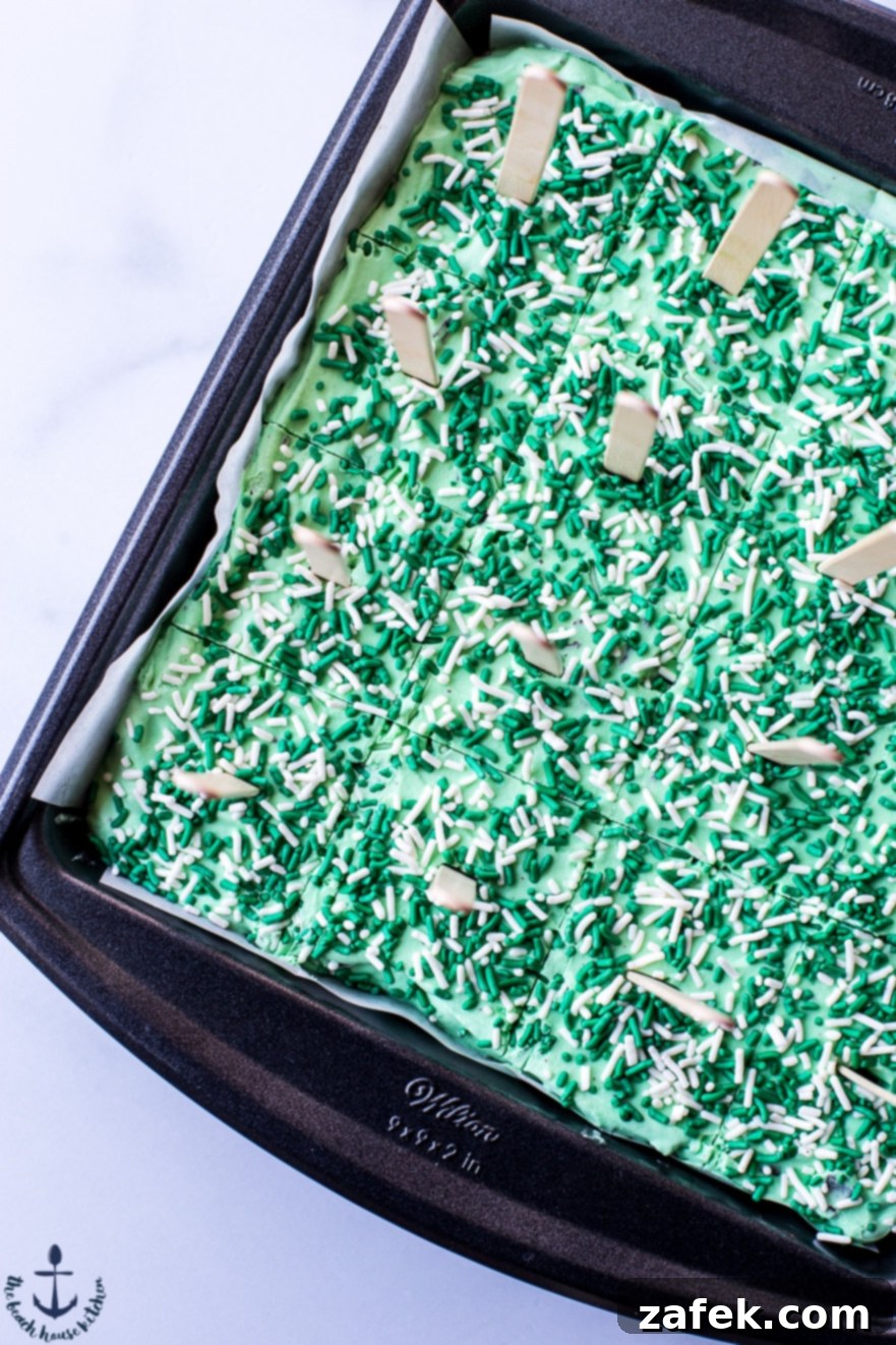 No Churn Mint Chocolate Chip Brownie Popsicles No Churn Mint Chocolate Chip Brownie Popsicles, ready to enjoy