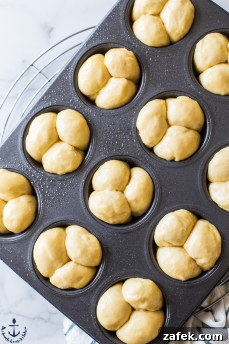 Puffy Brioche Buns 7 Dough for Bubble-Top Brioche Rolls after the first rise, perfectly divided and waiting to be shaped in a muffin tin.