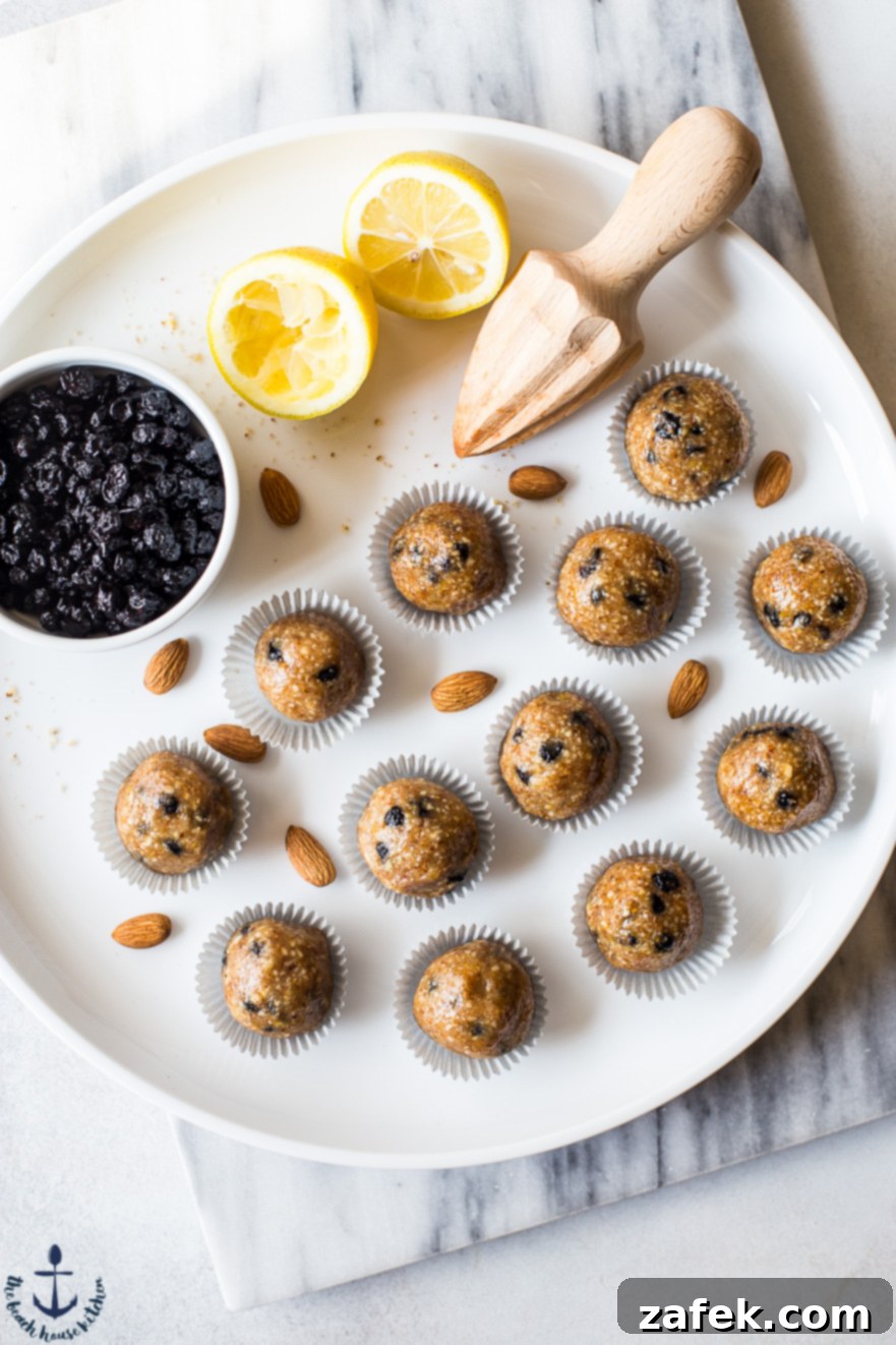 Overhead photo of vibrant blueberry lemon breakfast bites arranged beautifully on a white plate, highlighting their texture and fresh appearance.