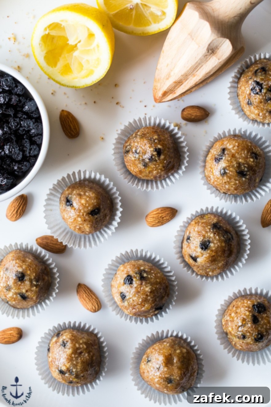 Close-up overhead shot of several blueberry lemon breakfast bites, showcasing the dried blueberries and lemon zest within their almond base.