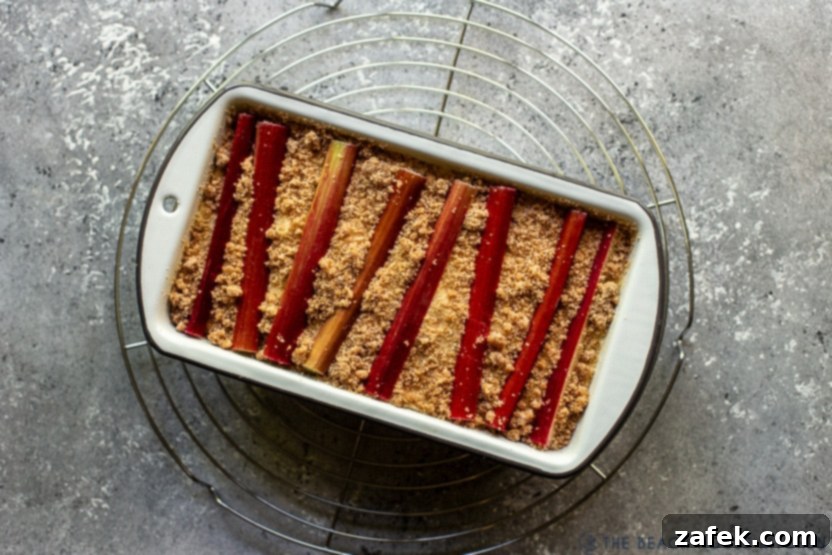 Overhead photo of a rhubarb crumb loaf topped with rhubarb stalks