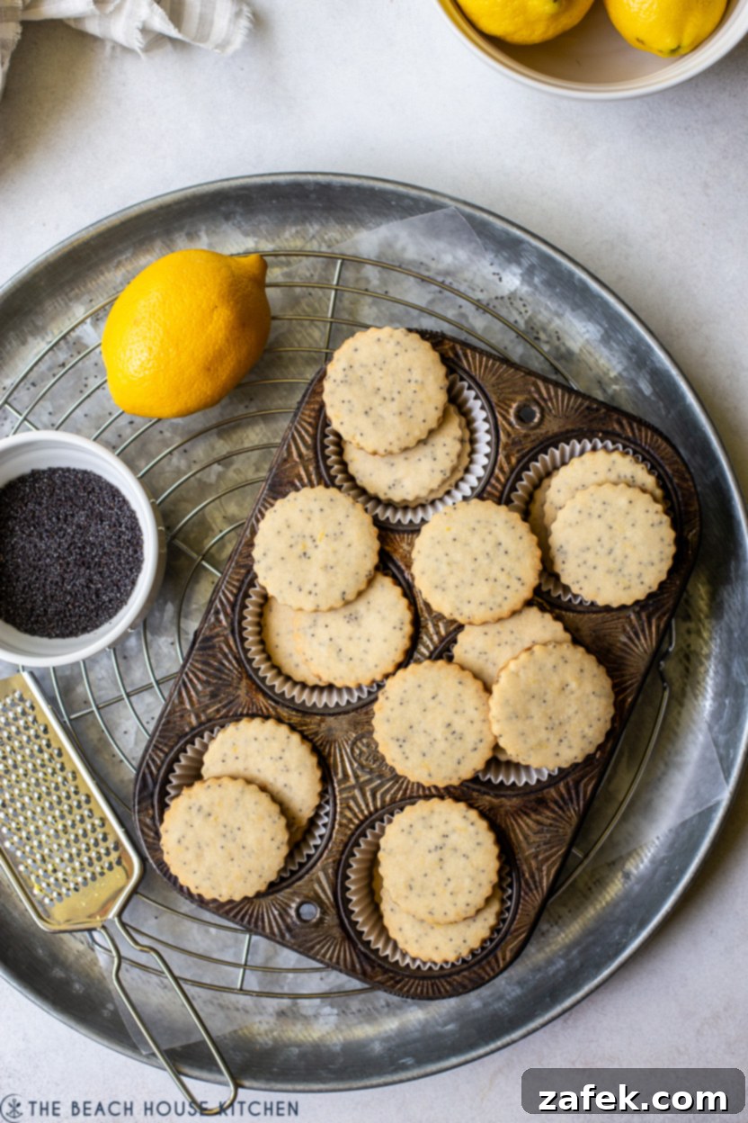 Zesty Lemon Poppyseed Shortbread 2 Overhead photo of lemon poppyseed shortbread cookies