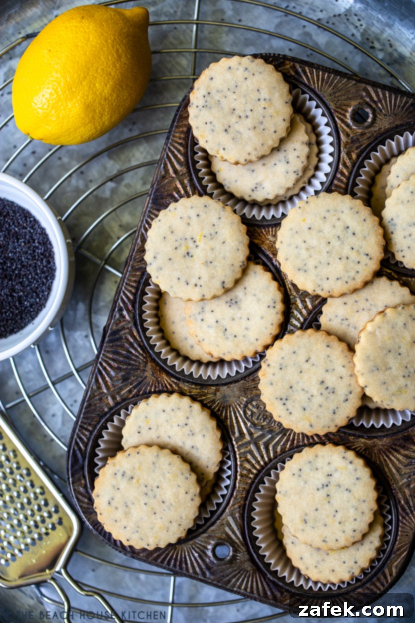 Zesty Lemon Poppyseed Shortbread 4 Up close overhead photo of lemon poppyseed shortbread cookies