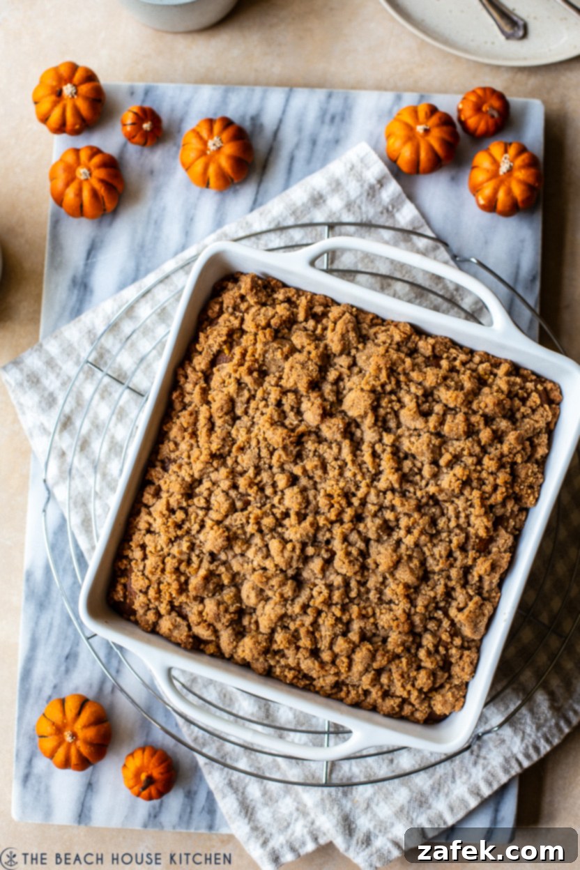 Overhead photo of a pumpkin crumb snack cake in a white square pan, highlighting its golden crumb topping and soft interior