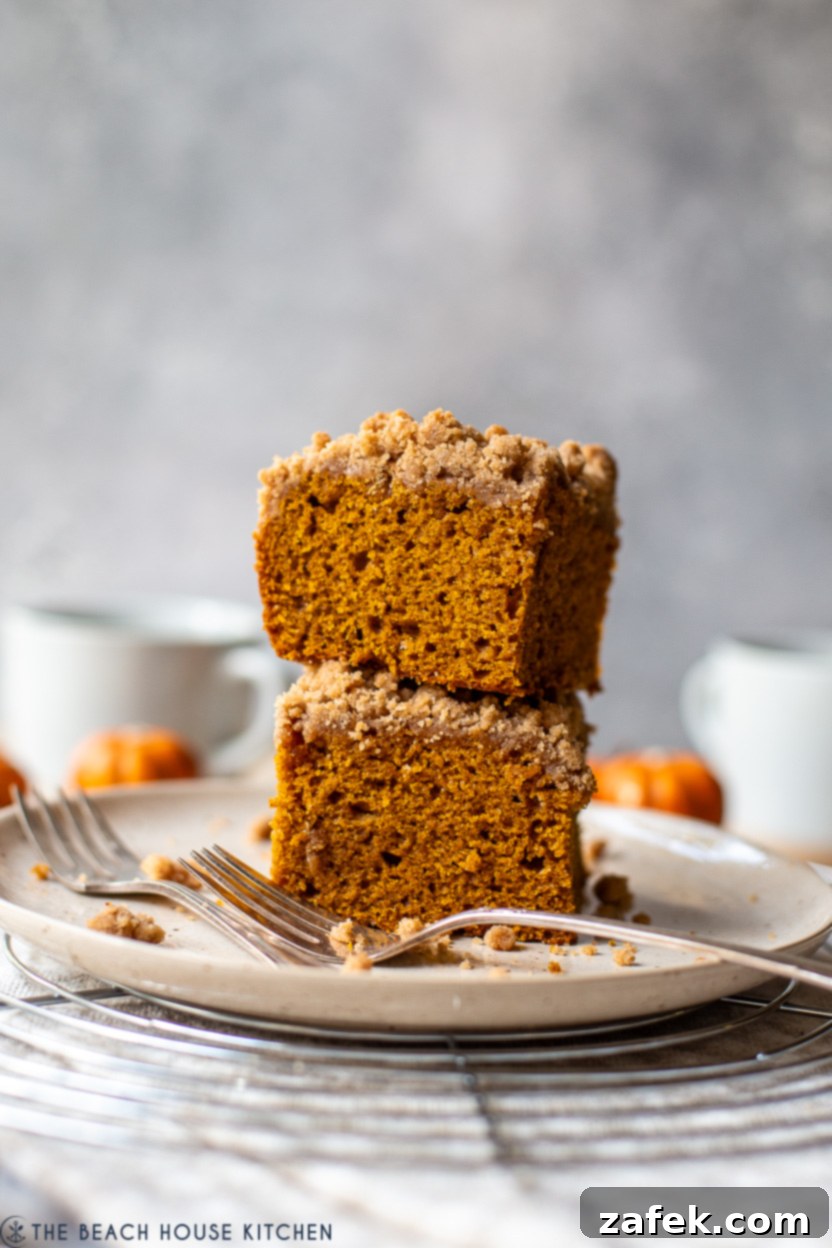 A stack of two pieces of pumpkin crumb snack cake, showing the distinct layers of cake and crumb