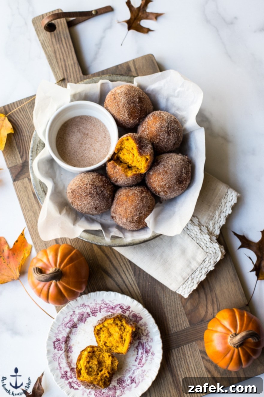 Overhead photo of cinnamon sugared pumpkin fritters in a dish