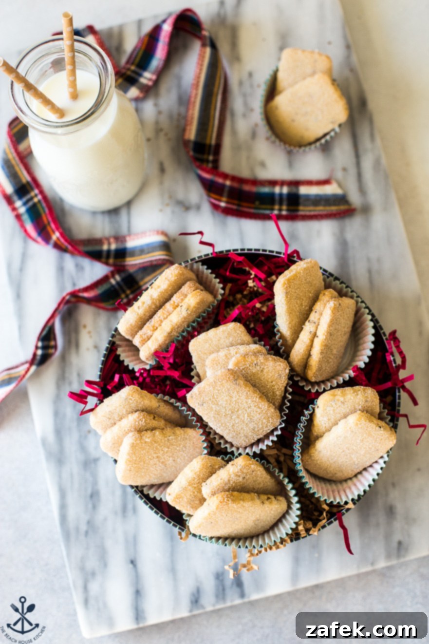 A festive round cookie tin filled with golden-brown Biscochitos cookies dusted with cinnamon sugar, viewed from above, ready for holiday gifting.
