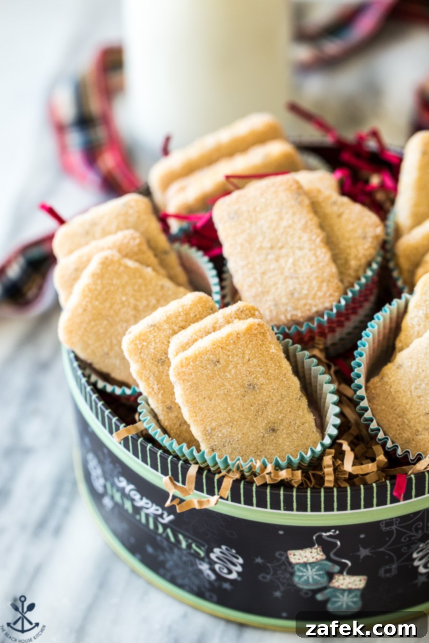 Close-up of freshly baked Biscochitos cookies, each delicately coated in cinnamon sugar, nestled in a decorative round tin, evoking a sense of festive indulgence.