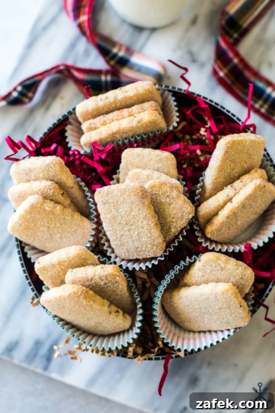 A beautifully composed overhead shot featuring several Biscochitos cookies with their cinnamon sugar coating, artfully arranged within a rustic round cookie tin, conveying comfort and homemade goodness.