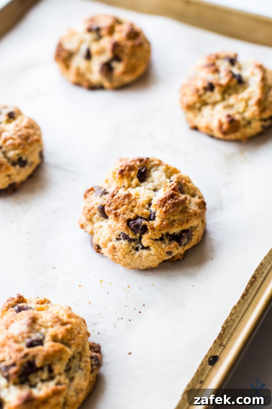 Golden Toasted Coconut Chocolate Chip Scones 3 Chocolate chip toasted coconut scones cooling on a baking sheet, showcasing their rustic charm