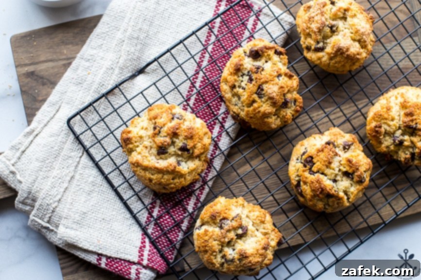 Golden Toasted Coconut Chocolate Chip Scones 4 Overhead shot of freshly baked chocolate chip toasted coconut scones cooling on a wire rack