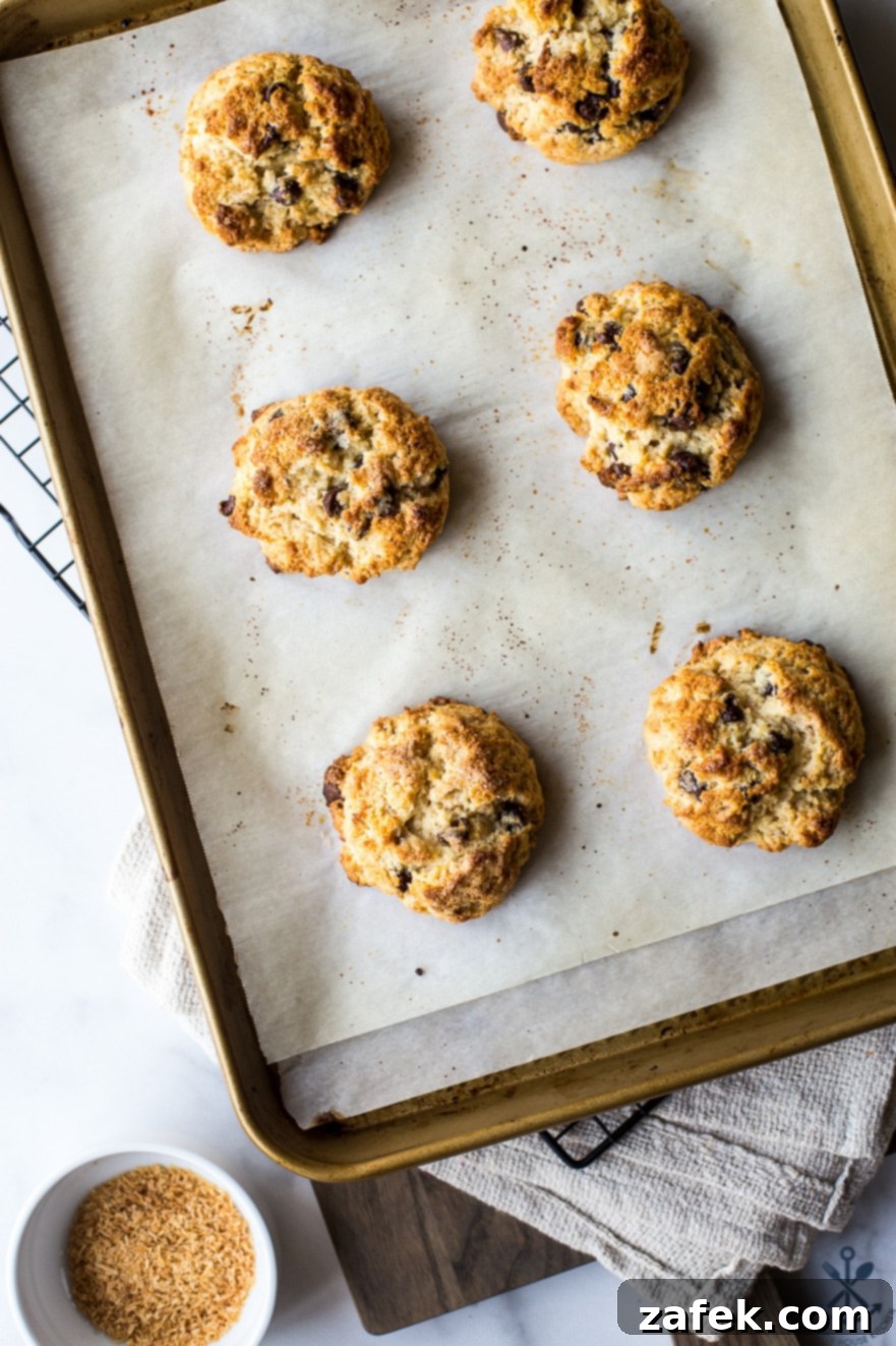 Golden Toasted Coconut Chocolate Chip Scones 7 Overhead photo of a batch of perfectly baked chocolate chip toasted coconut scones