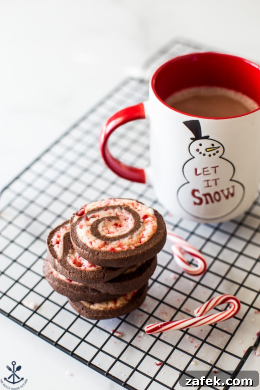 A beautifully arranged stack of chocolate peppermint pinwheel cookies on a plate, accompanied by a steaming mug of hot cocoa, perfect for holiday gatherings
