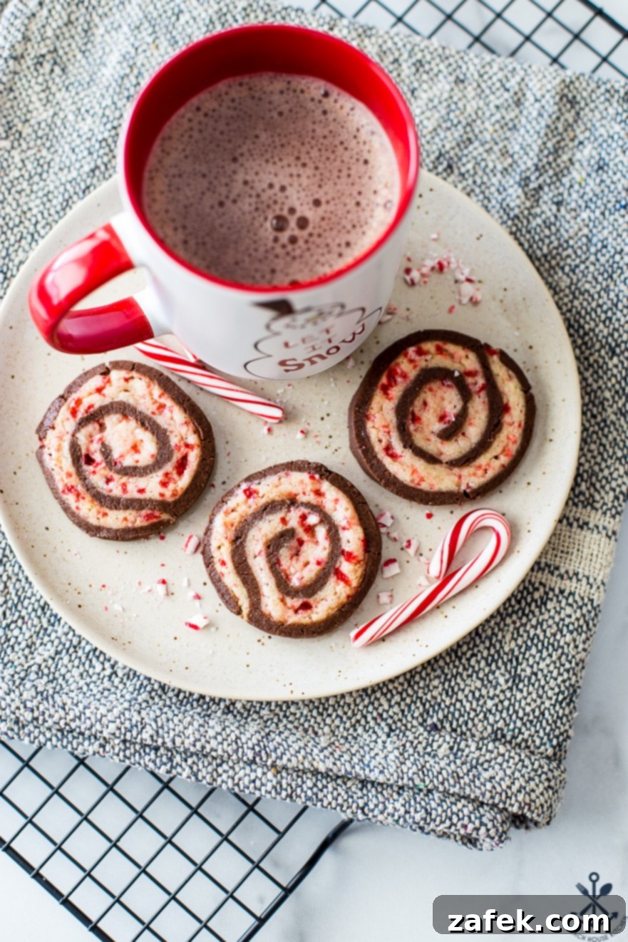 Overhead shot of chocolate peppermint pinwheel cookies arranged beautifully on a plate next to a cozy mug of hot cocoa, highlighting their intricate design