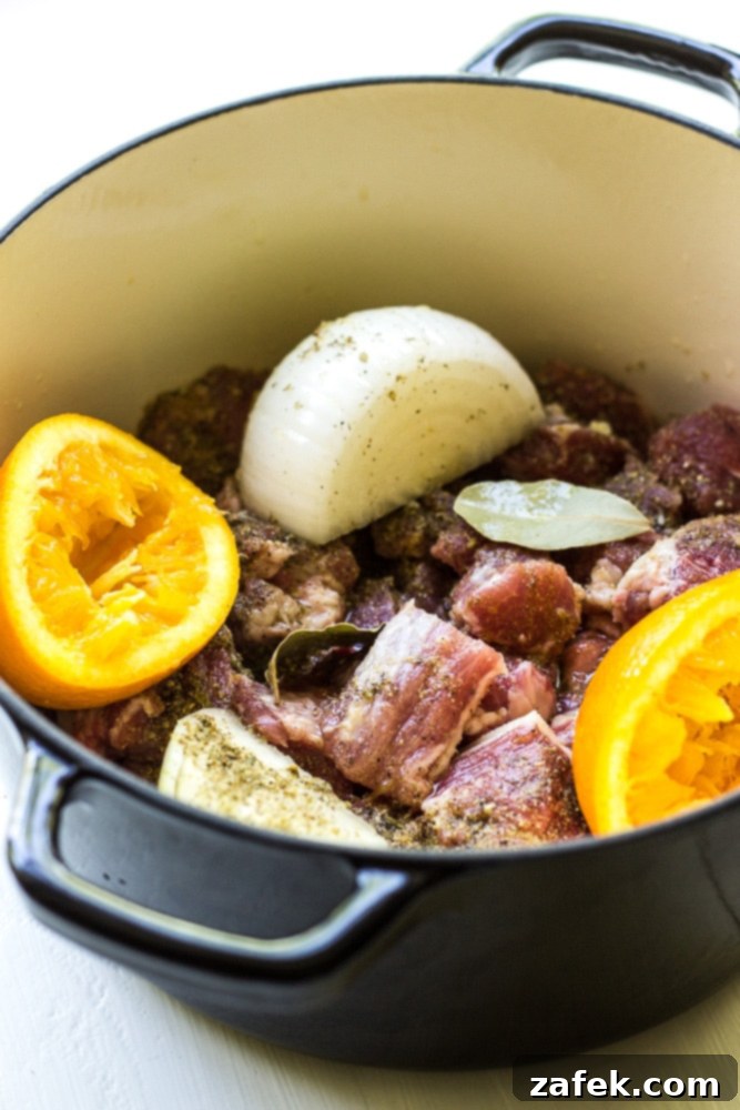 Two plates of Crispy Pork Carnitas Tacos, showcasing the rich colors of the meat and fresh pico de gallo.