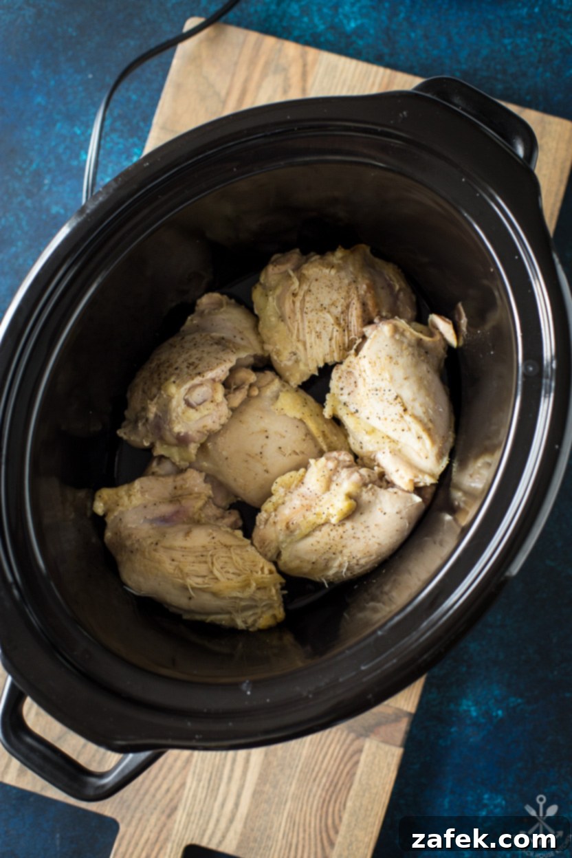 Overhead photo of a slow cooker with lightly browned chicken pieces before other ingredients are added