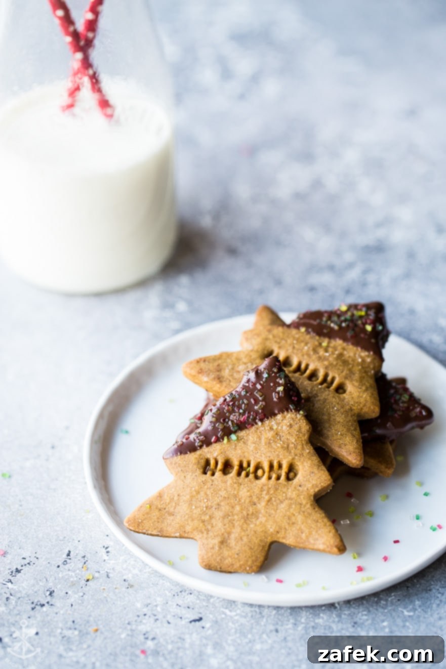 Chocolate-Kissed Gingerbread Shortbread Cookies 6 A few Chocolate Dipped Gingerbread Shortbread Cut Out Cookies artfully arranged on a white plate with a bottle of milk subtly blurred in the background, symbolizing comfort and indulgence