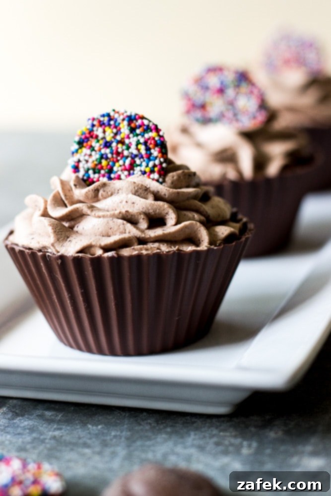 Double Chocolate Mousse Delights 3 Easy Chocolate Mousse in Homemade Chocolate Cups