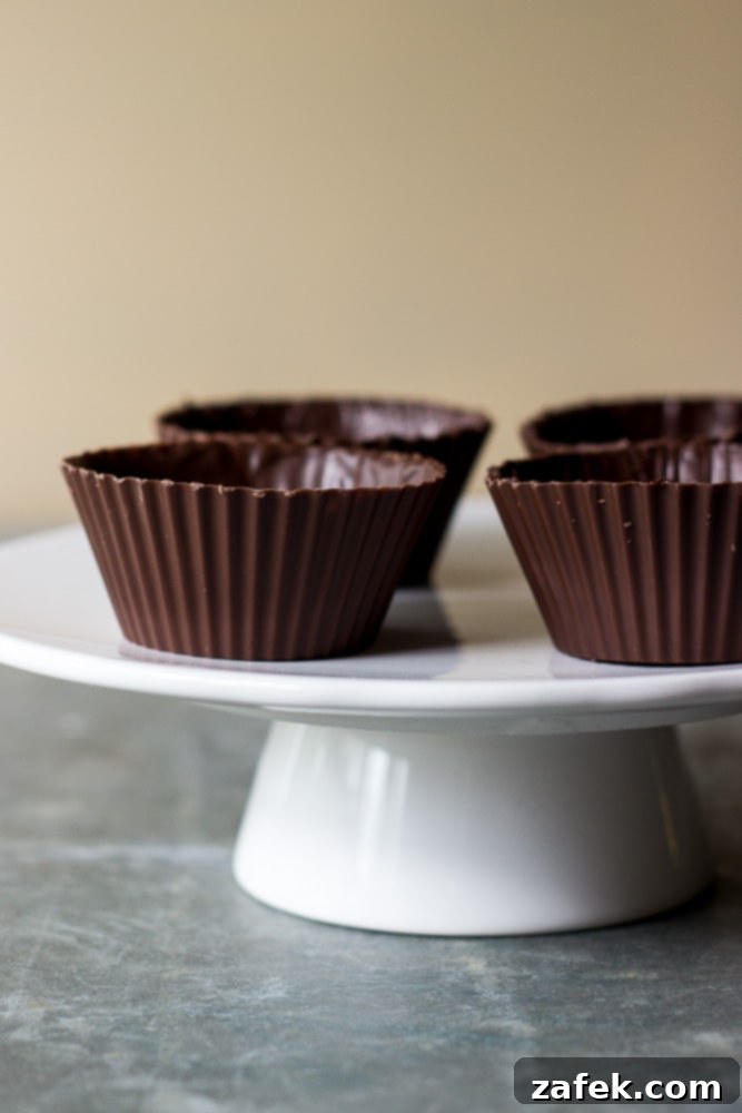 Double Chocolate Mousse Delights 5 Easy Chocolate Mousse in Homemade Chocolate Cups