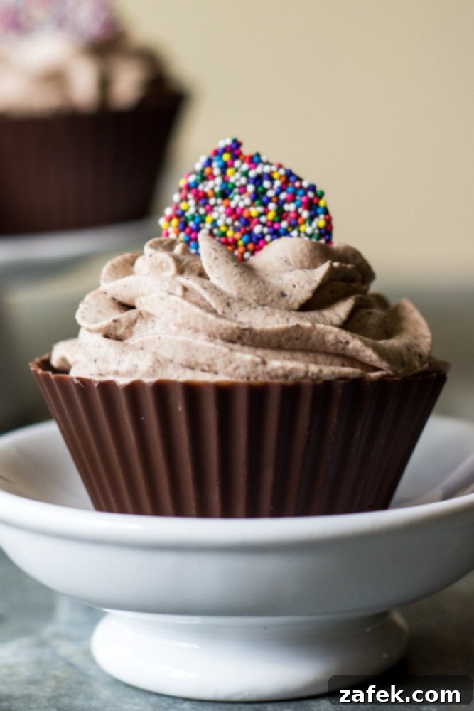 Double Chocolate Mousse Delights 6 Easy Chocolate Mousse in Homemade Chocolate Cups