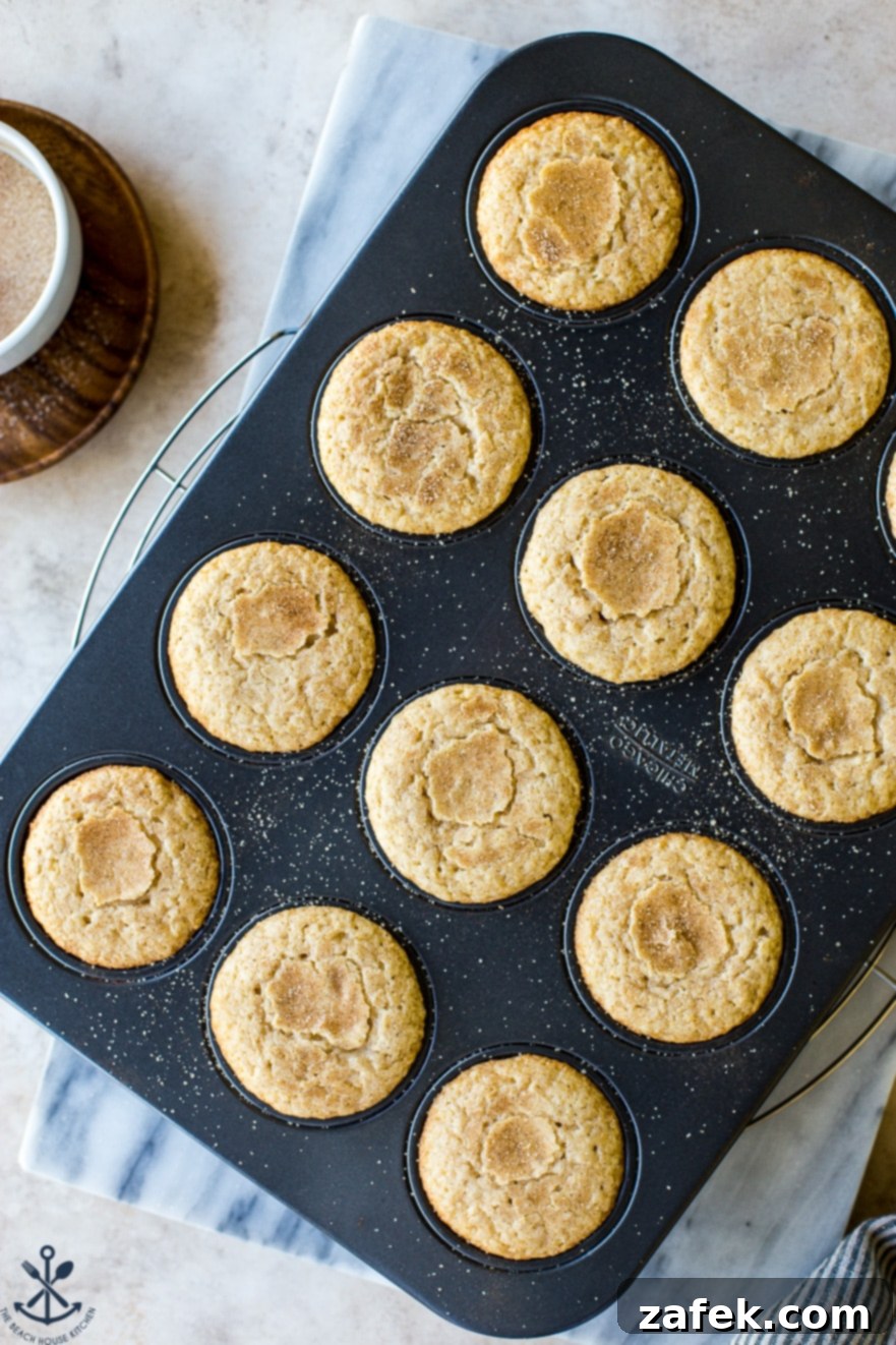 Spiced Snickerdoodle Cupcakes with Cinnamon Buttercream 6 Freshly baked Snickerdoodle Cupcakes cooling in a cupcake pan, tops lightly golden with cinnamon sugar