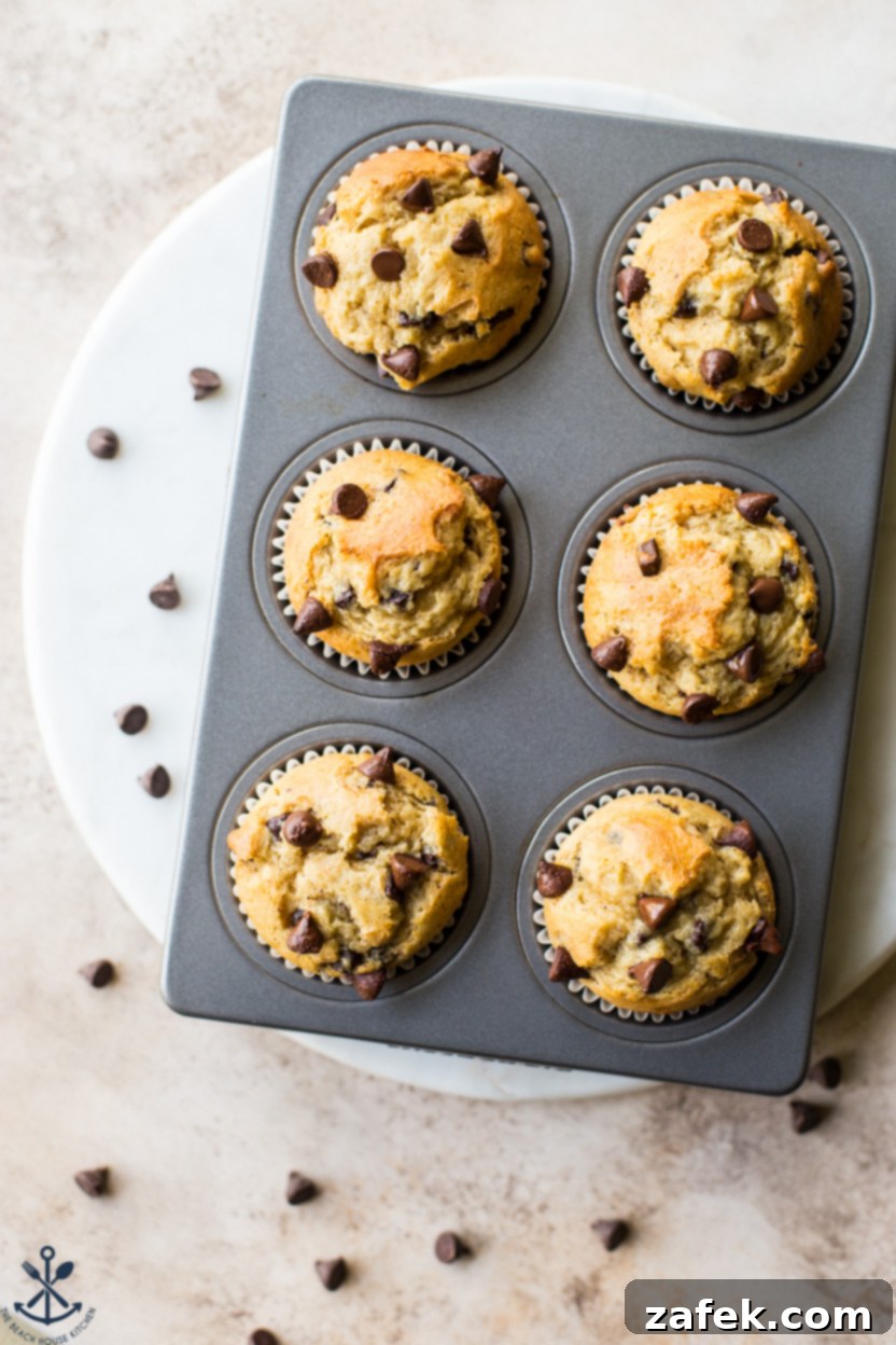 Effortless Chocolate Chip Muffins 3 Overhead photo of a pan of chocolate chip muffins, freshly baked and ready to eat