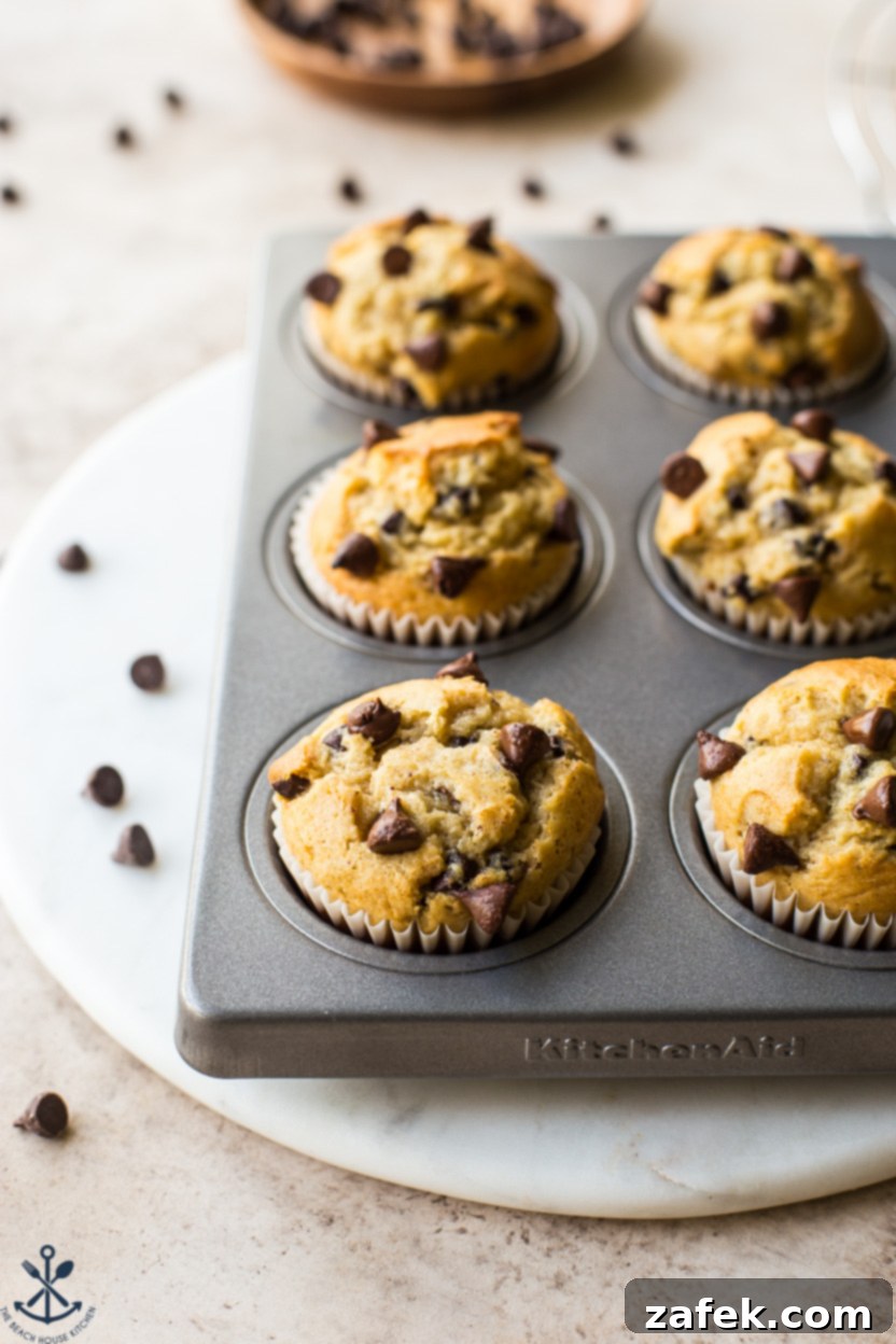Effortless Chocolate Chip Muffins 4 Up close photo of a pan of chocolate chip muffins, highlighting the melted chocolate chips