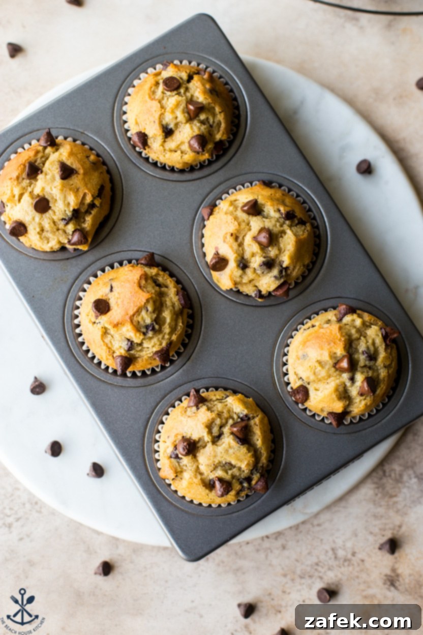 Effortless Chocolate Chip Muffins 6 Overhead photo of a pan of chocolate chip muffins, showcasing their golden brown tops