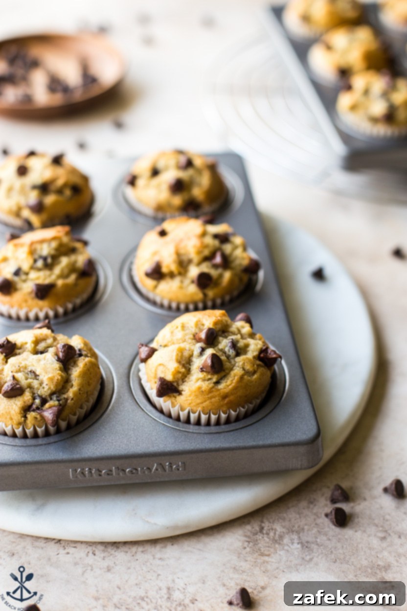 Effortless Chocolate Chip Muffins 7 Chocolate Chip Muffins in a muffin pan, ready to be served