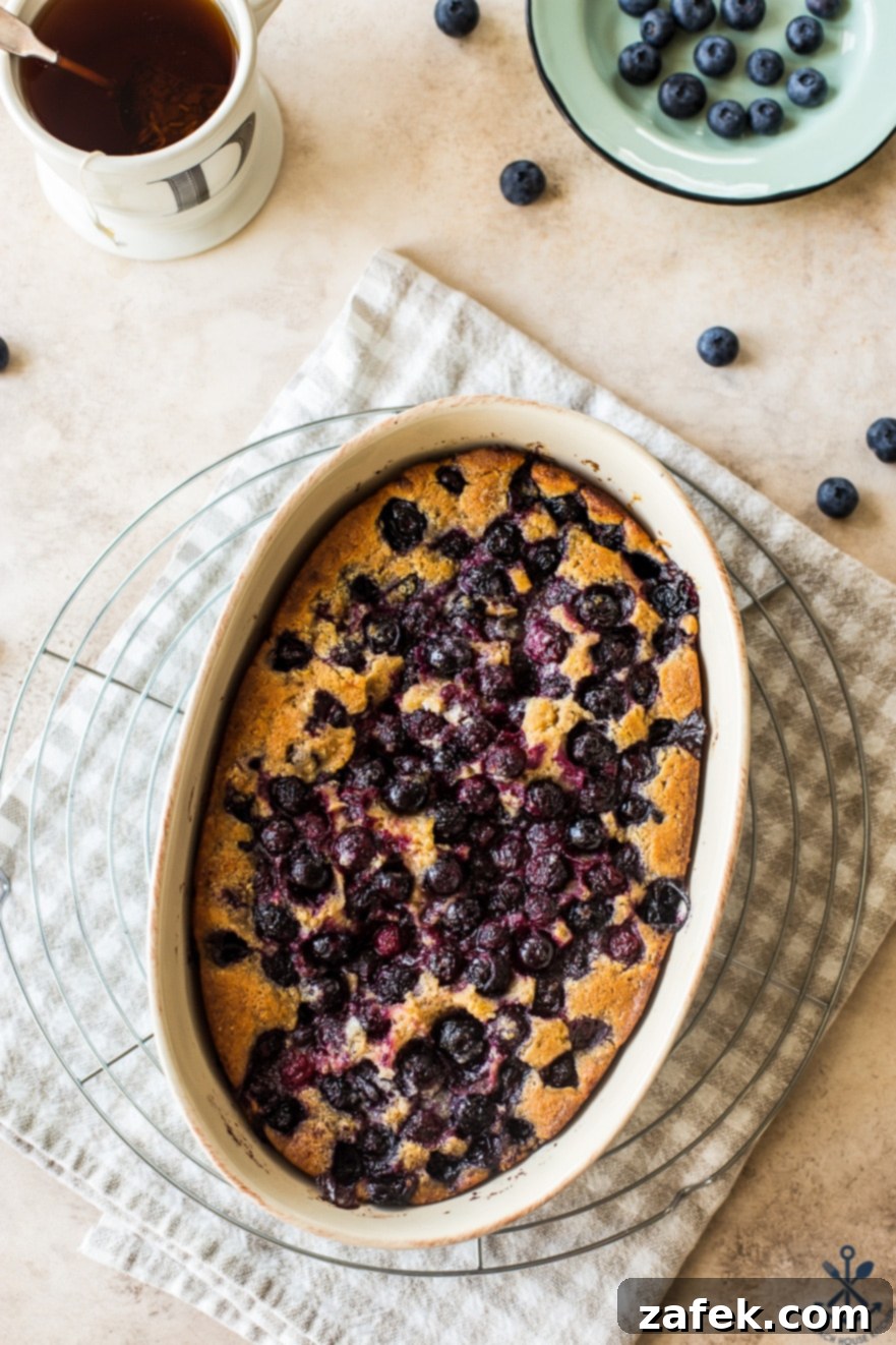 Overhead photo of the golden-crusted Earl Grey Blueberry Cobbler baking in an elegant oval dish, fresh out of the oven
