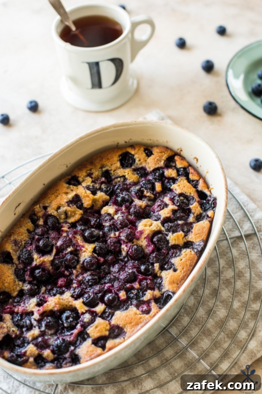 A close-up view of the Earl Grey Blueberry Cobbler baking in an oval dish, showcasing its perfectly golden brown crust and bubbly fruit filling