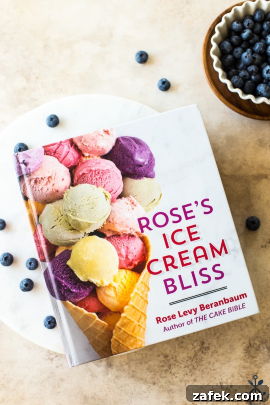 Velvet Blueberry Ice Cream 3 Rose's Ice Cream Bliss book