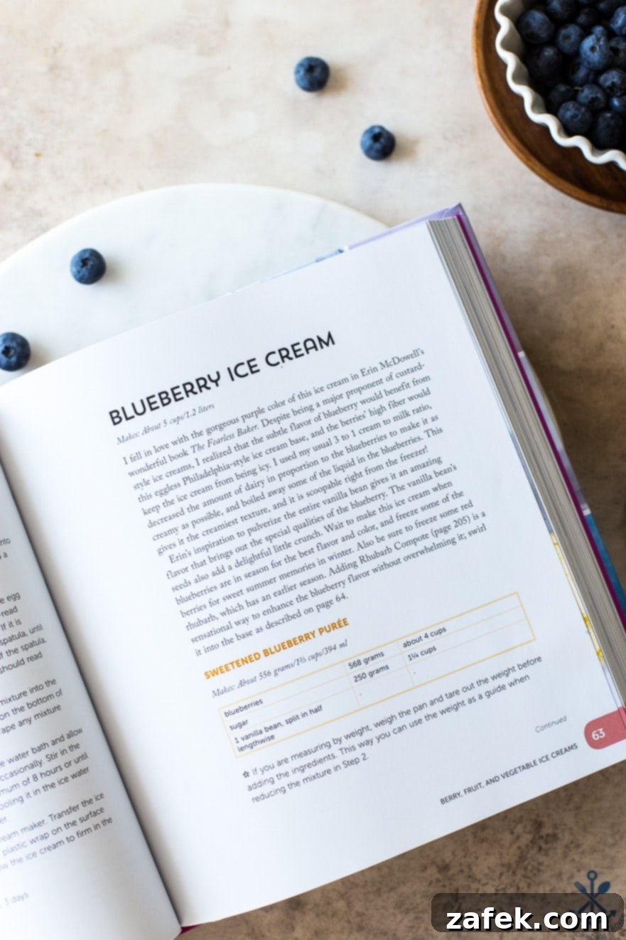 Velvet Blueberry Ice Cream 5 Overhead photo of book opened to Blueberry Ice Cream recipe page