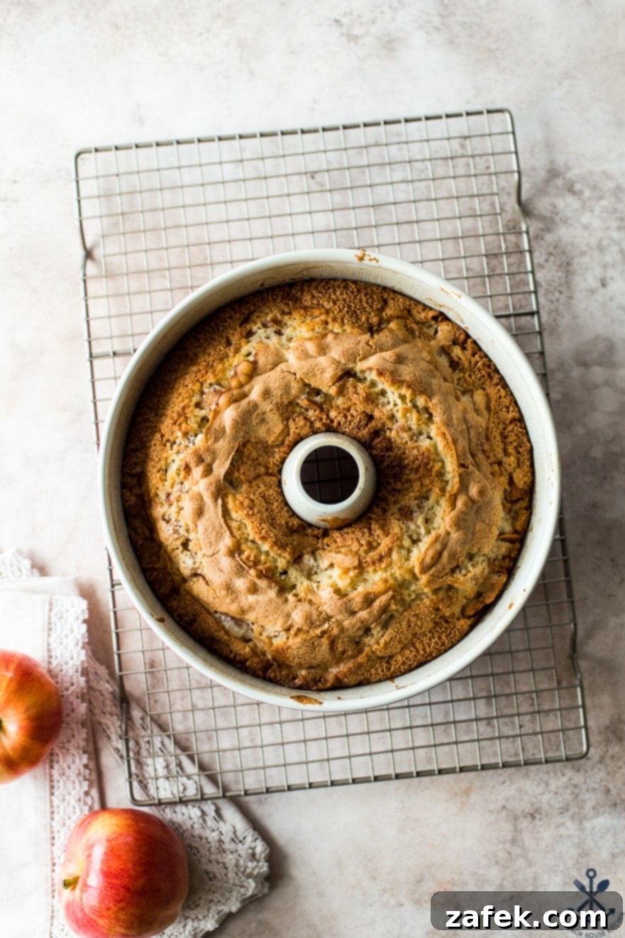 Old Fashioned Apple Spice Cake 11 A beautifully baked Jewish Apple Cake still in its tube pan, just pulled from the oven, showcasing a golden-brown crust and a tantalizing aroma.