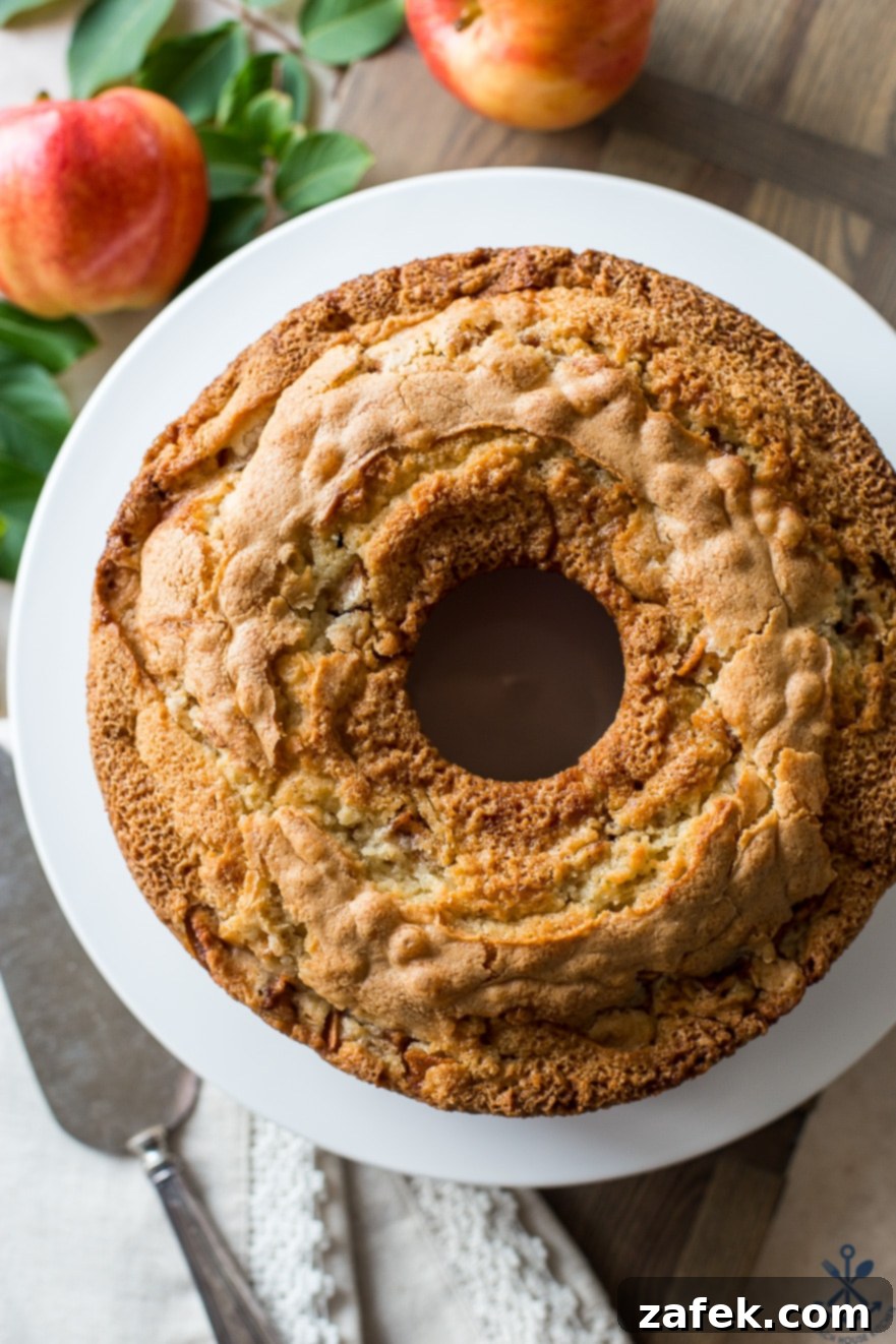 Old Fashioned Apple Spice Cake 3 Close-up overhead shot of a slice of Jewish Apple Cake on a white plate with two apples in the soft-focused background, highlighting the moist texture and abundant apple chunks.