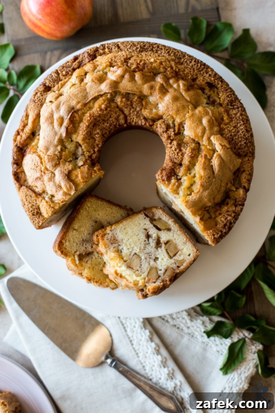 Old Fashioned Apple Spice Cake 4 An overhead view of a Jewish Apple Cake with two perfectly cut slices ready for serving, showcasing the golden-brown crust and generous apple filling, inviting a taste.