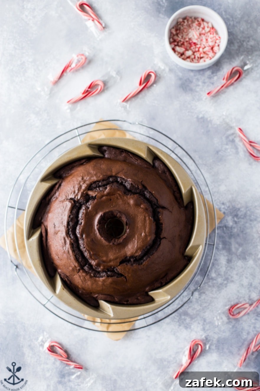 Peppermint Kissed Double Chocolate Decadence 4 Overhead photo of baked chocolate bundt cake in bundt pan