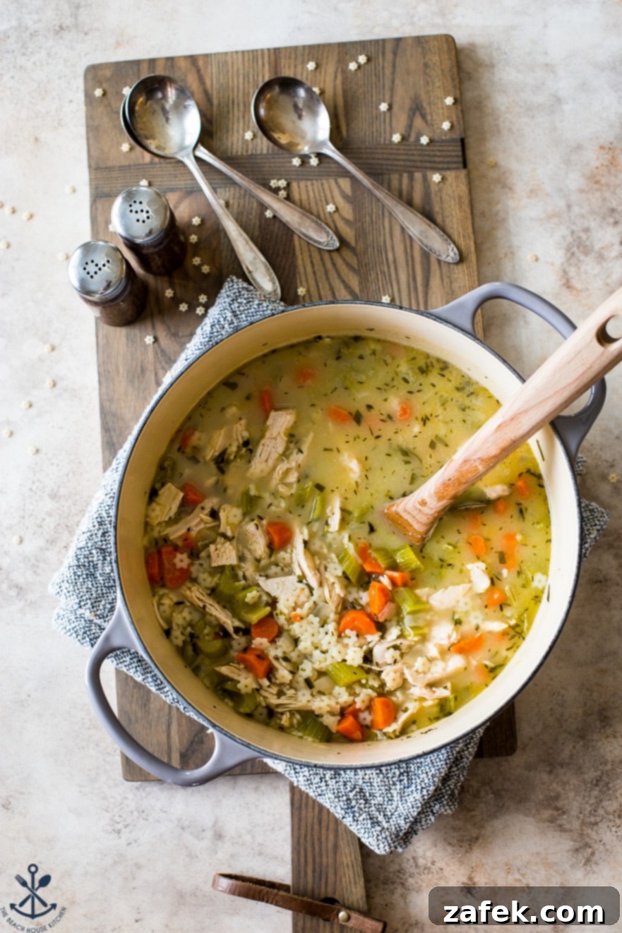 Overhead photo of a pot filled with chicken soup