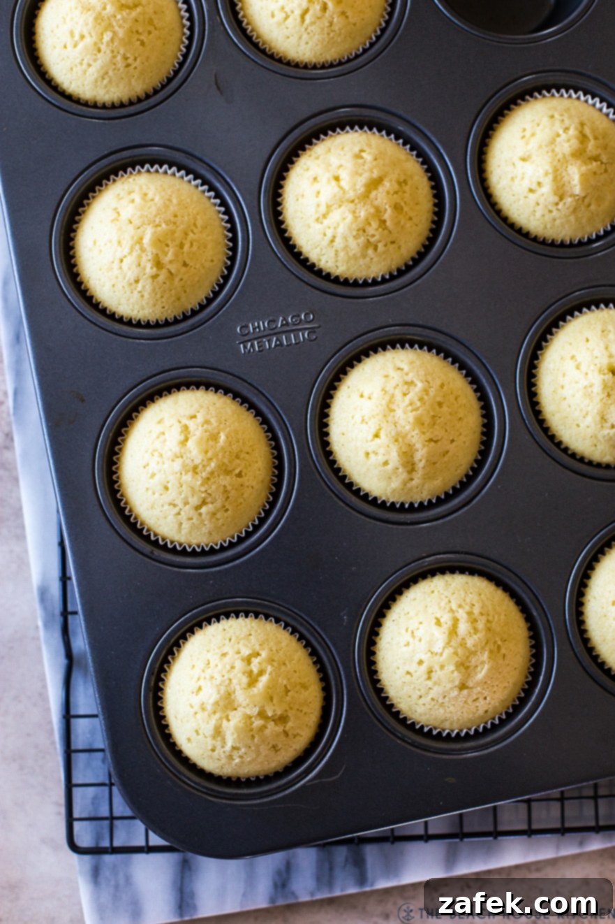 Overhead photo of baked vanilla cupcakes in a cupcake tin, golden brown and ready for filling