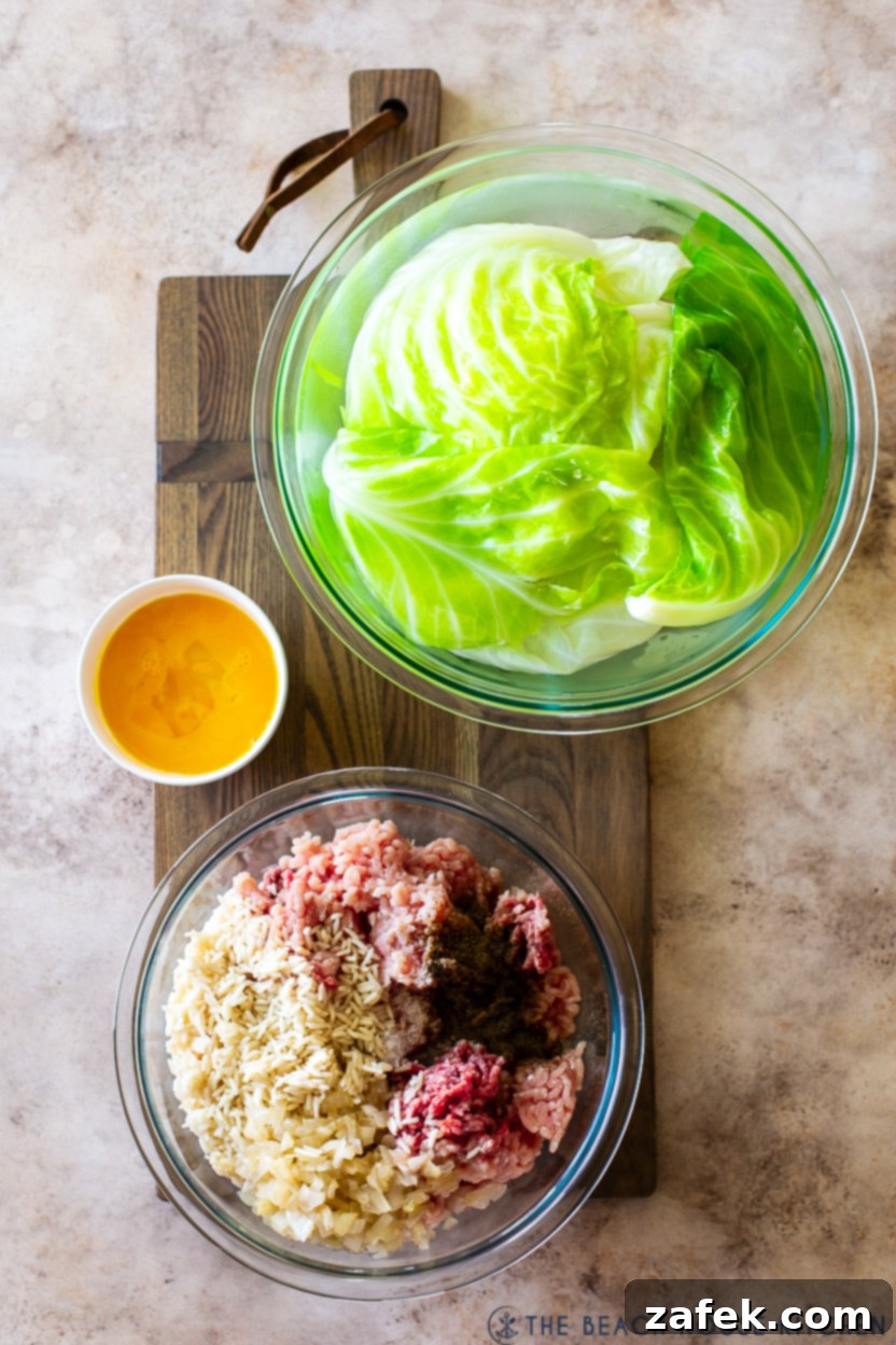 Overhead photo of ingredients for stuffed cabbage